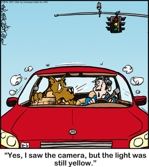 marmaduke